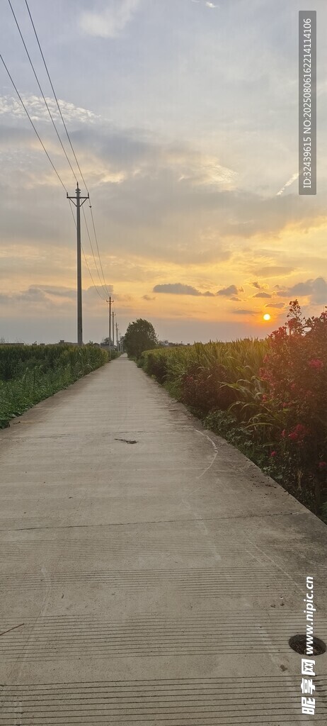 夕阳下的乡间水泥路