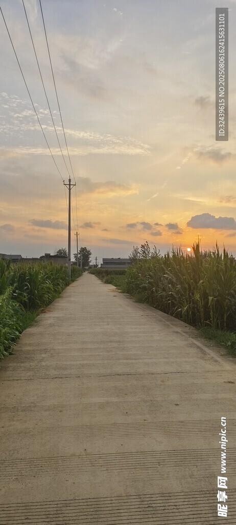 黄昏下的乡间小路
