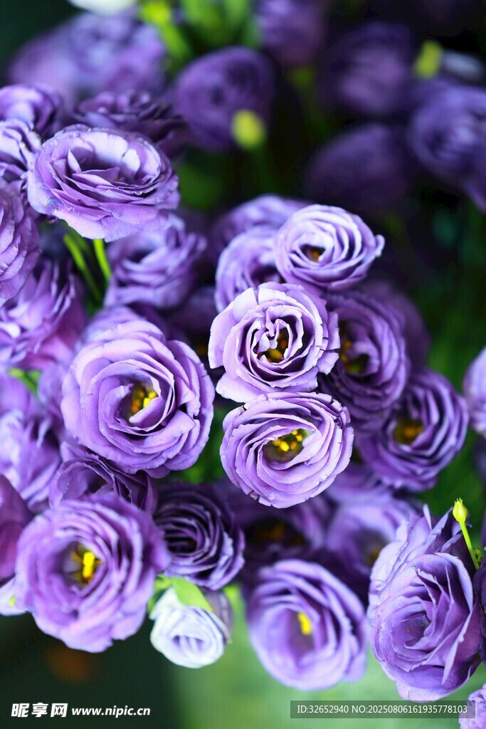 紫色花朵花束