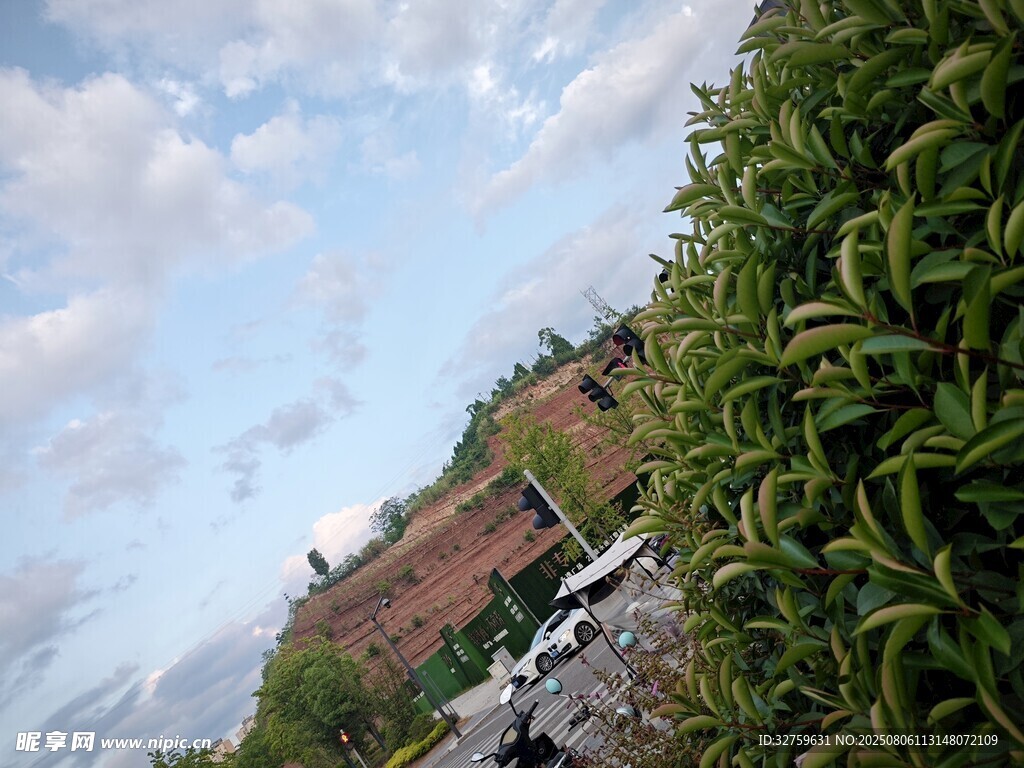 蓝天白云下的绿植与建筑