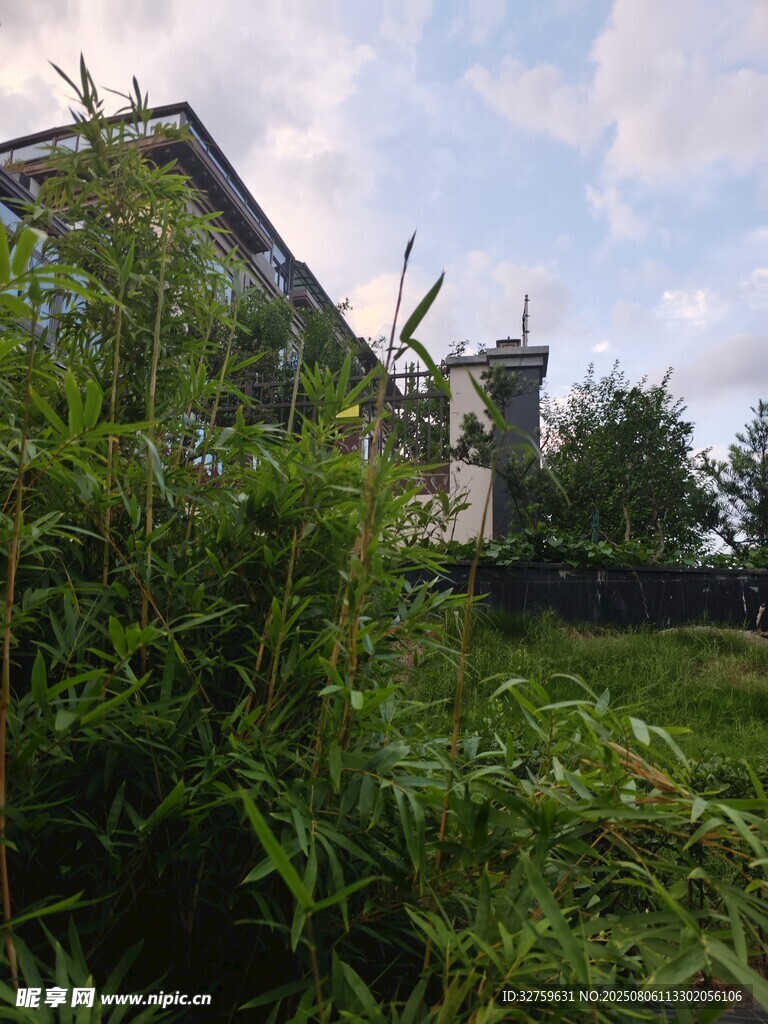 乡村绿植环绕的小屋
