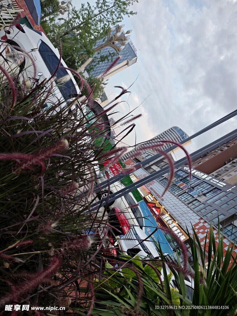 城市中多彩的植物与建筑景观