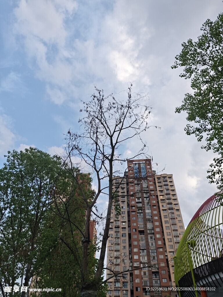 高楼旁绿树蓝天景象