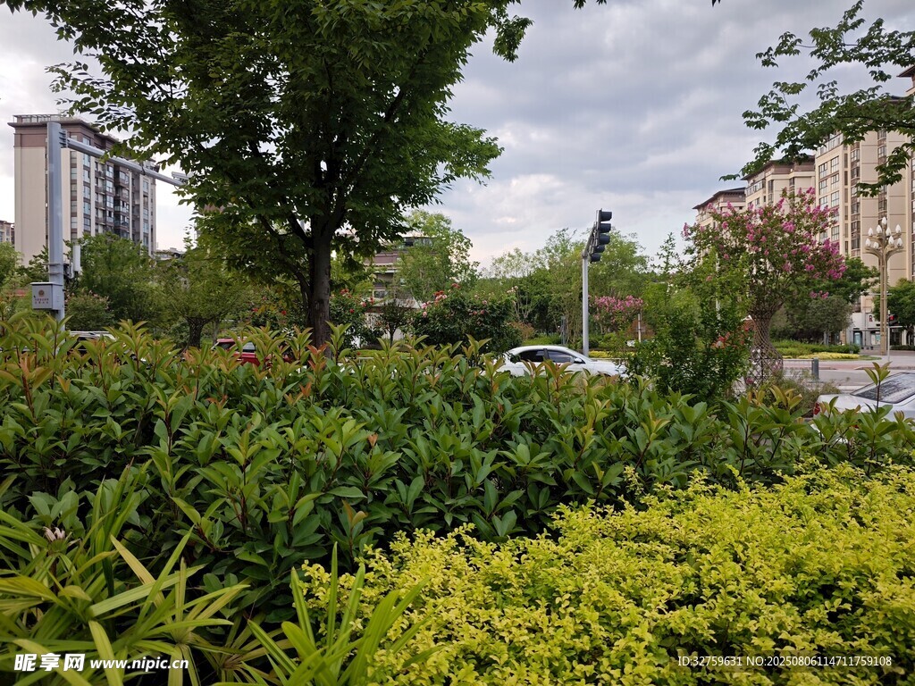 城市中的绿植景观