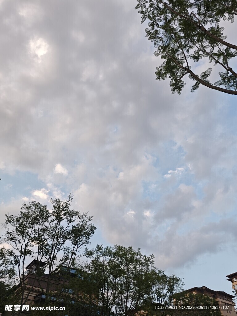 天空下的树木与建筑