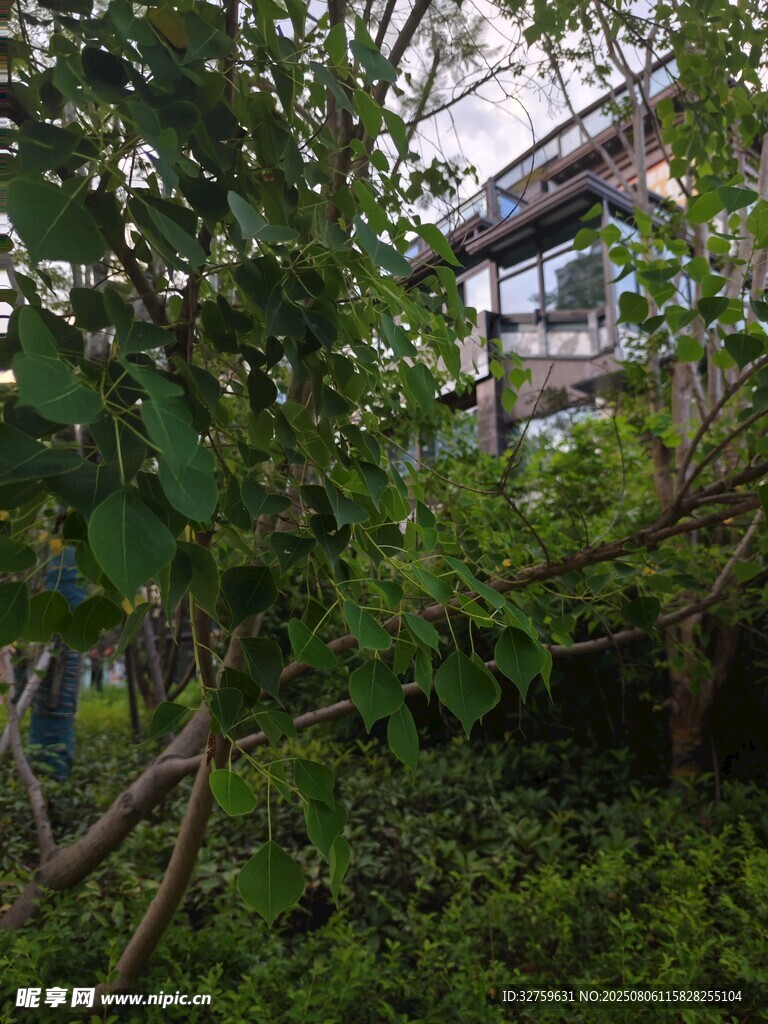 被绿植环绕的温馨小屋