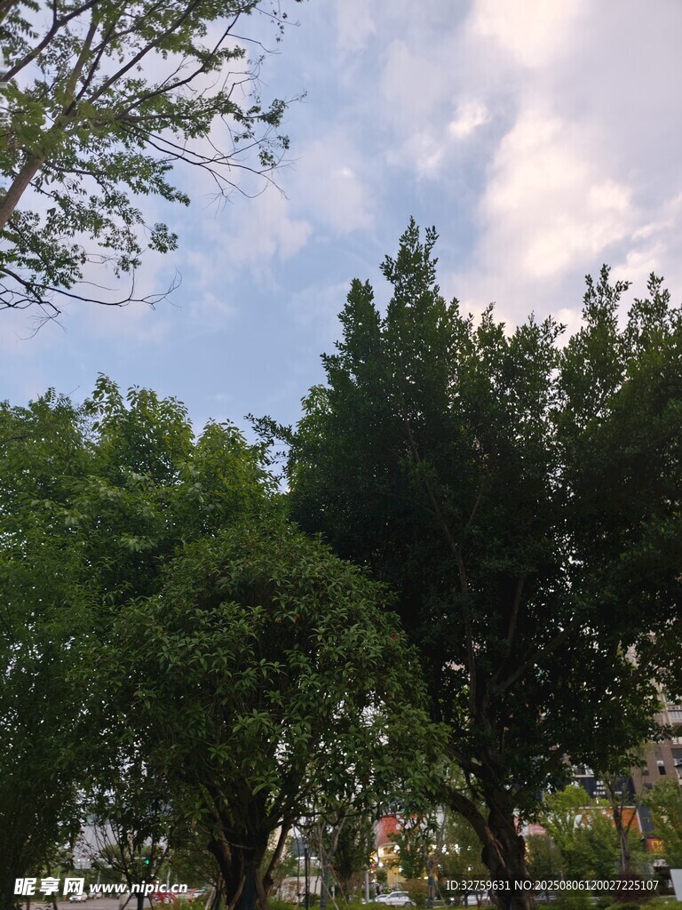 绿树蓝天间的自然景致