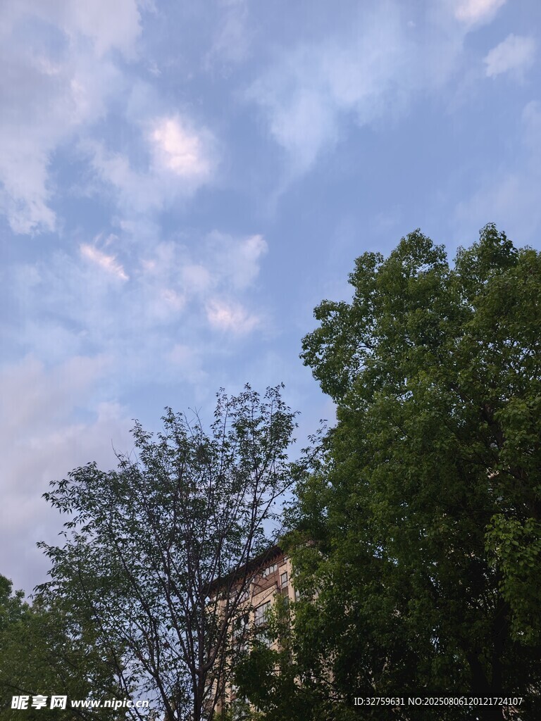 蓝天绿树间的美丽景致