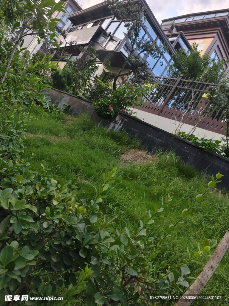 庭院绿植景观一角