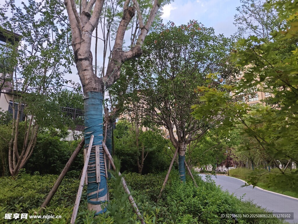 公园中彩绘装饰的树木景观