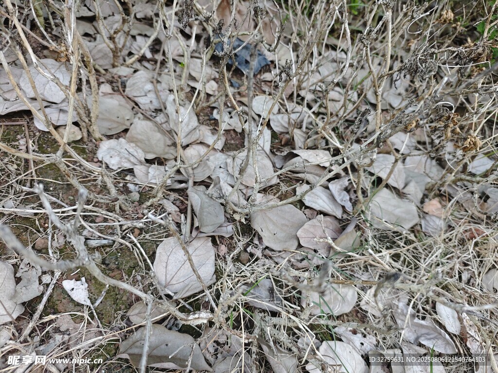 碎石地面