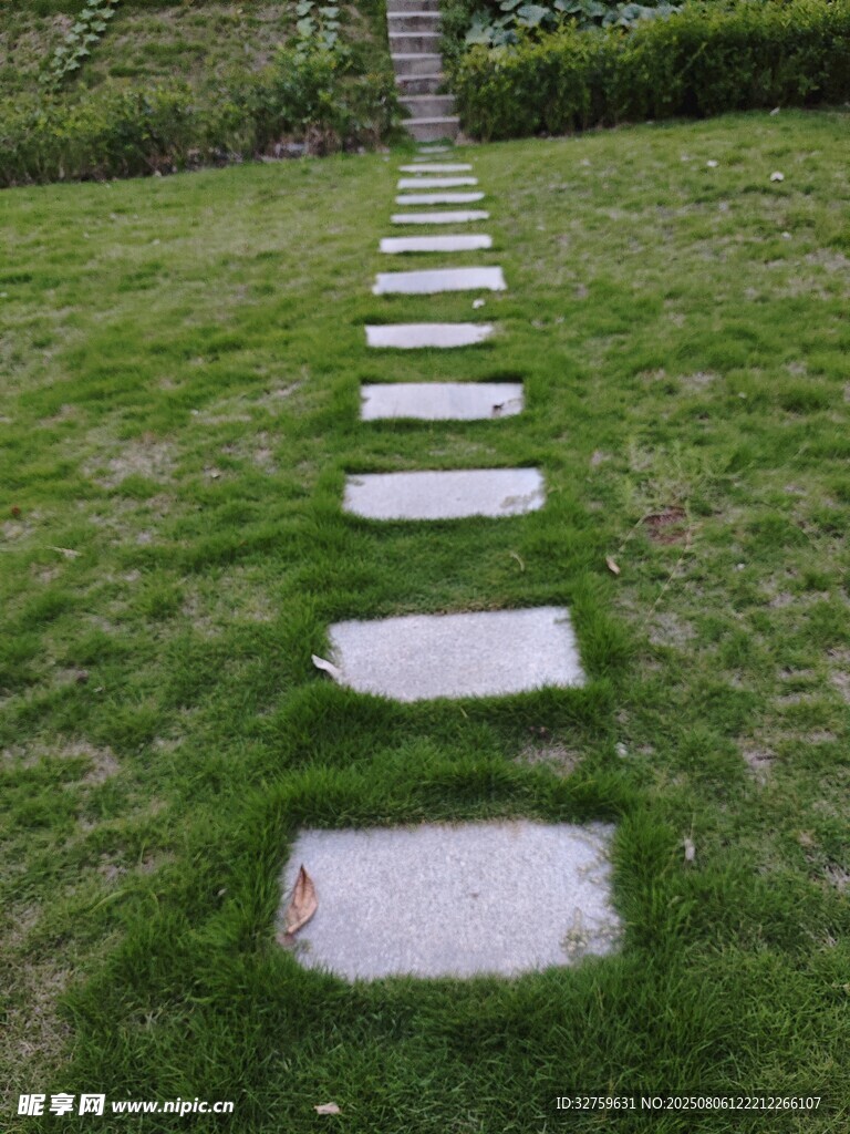 草地中的石板小径