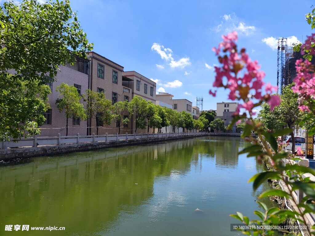 河畔美景 绿植繁花伴建筑