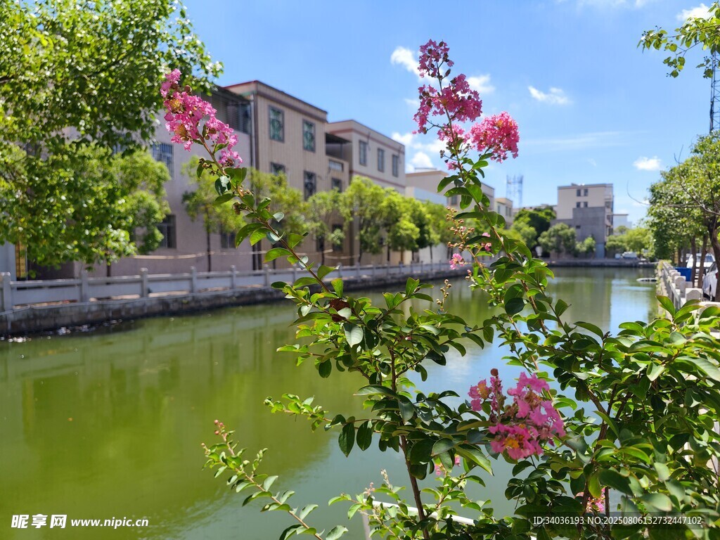 河畔繁花映古居