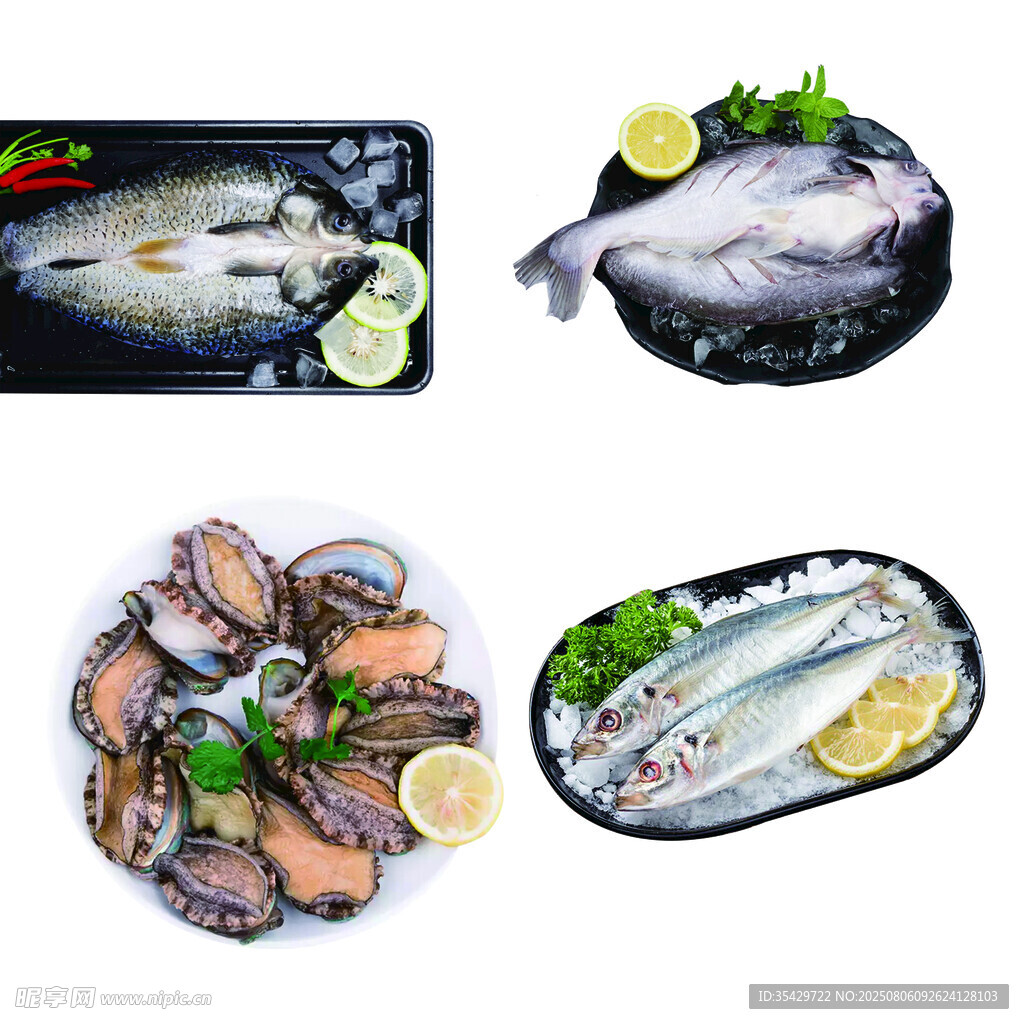 多样鲜鱼美食展示