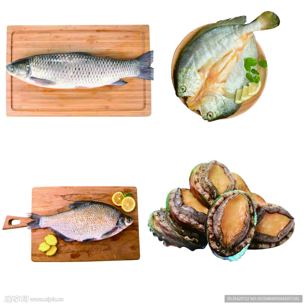 新鲜海产食材展示