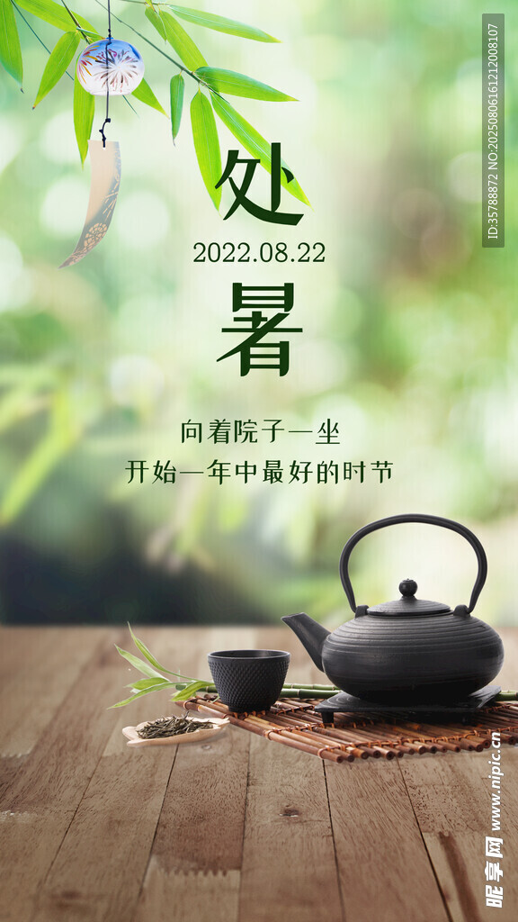 处暑时节茶具与绿植场景