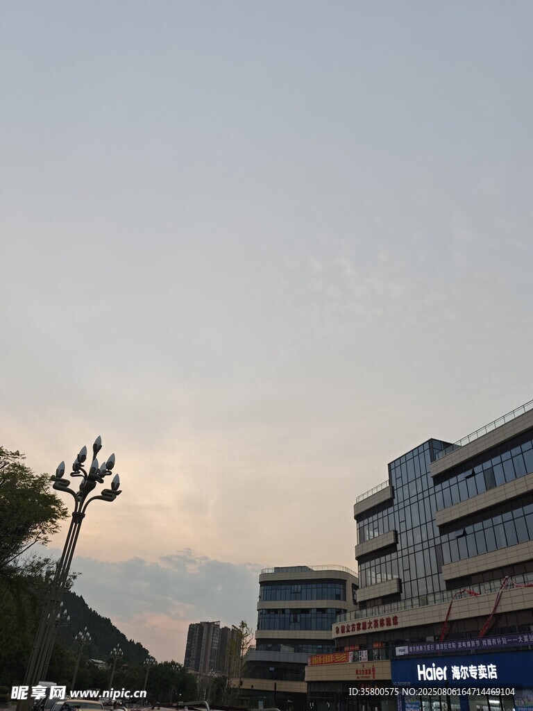 城市黄昏下的建筑与绿植