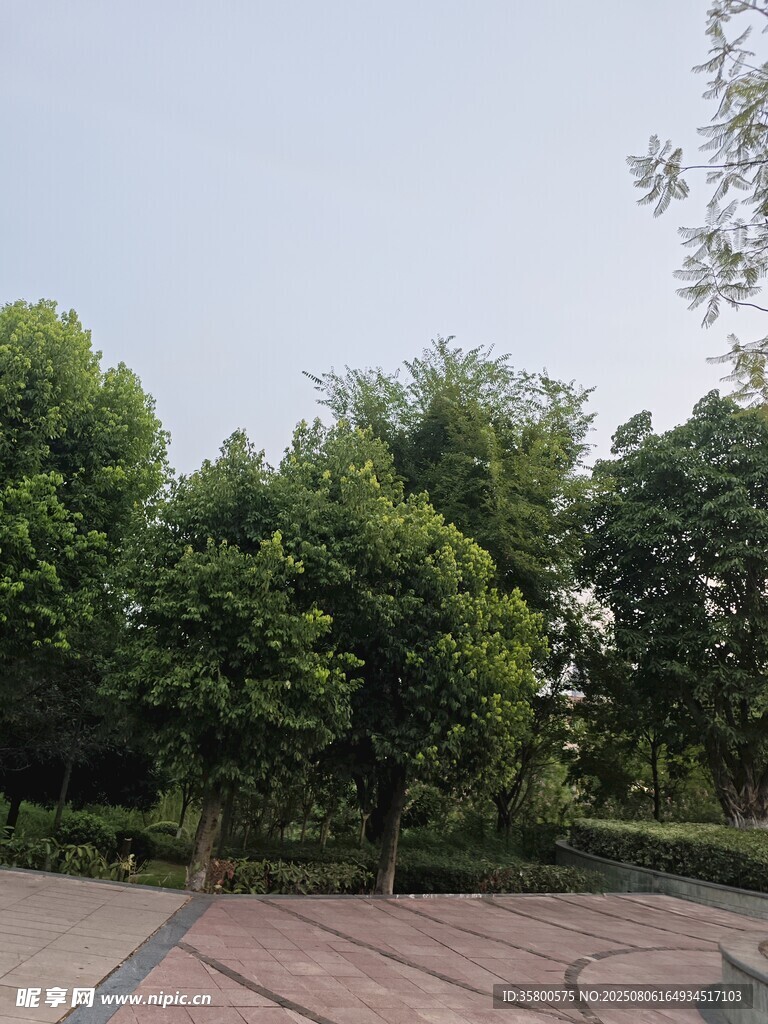 户外绿树环绕的休闲场地