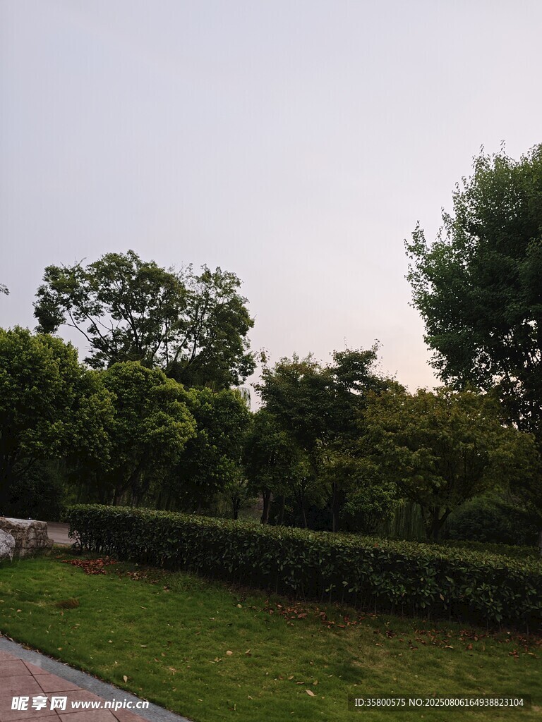 户外绿植景观