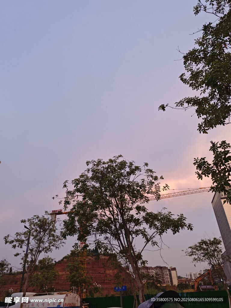 黄昏下的树木与天空景色