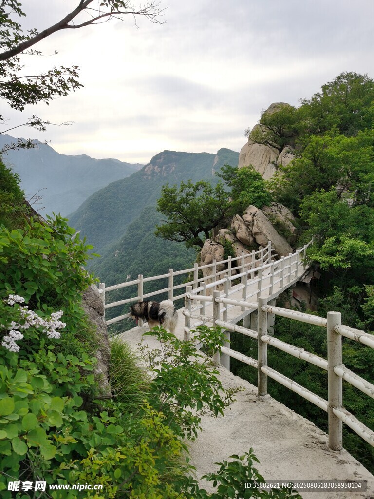 山间栈道
