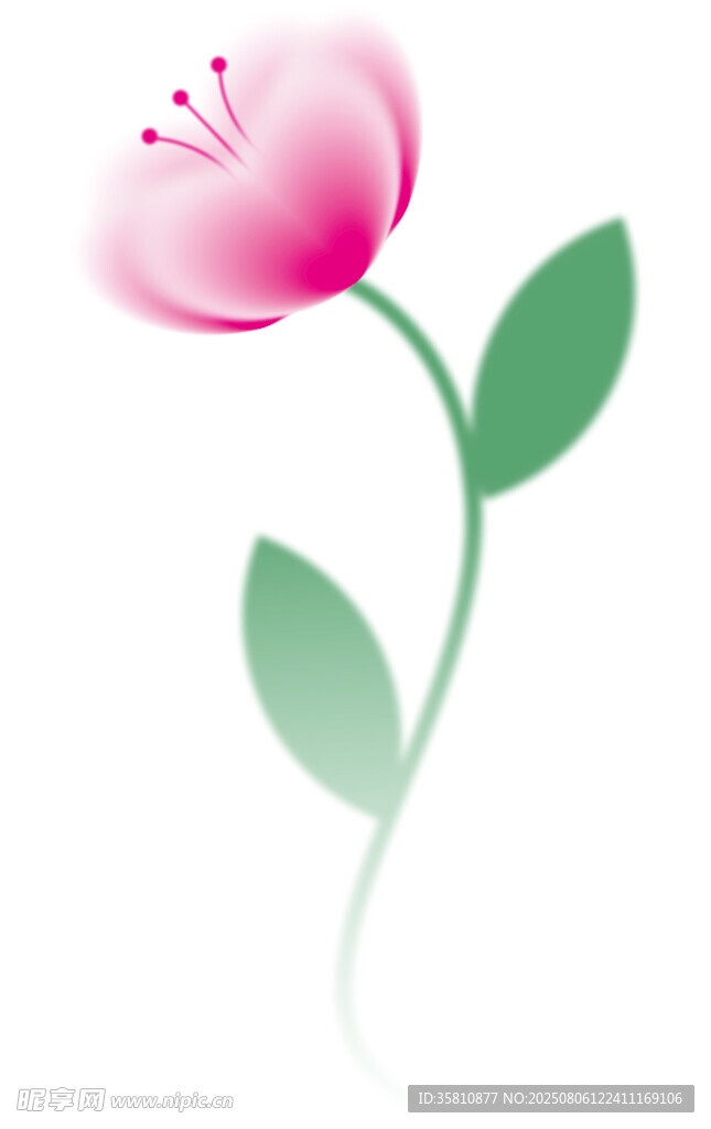 弥散花朵