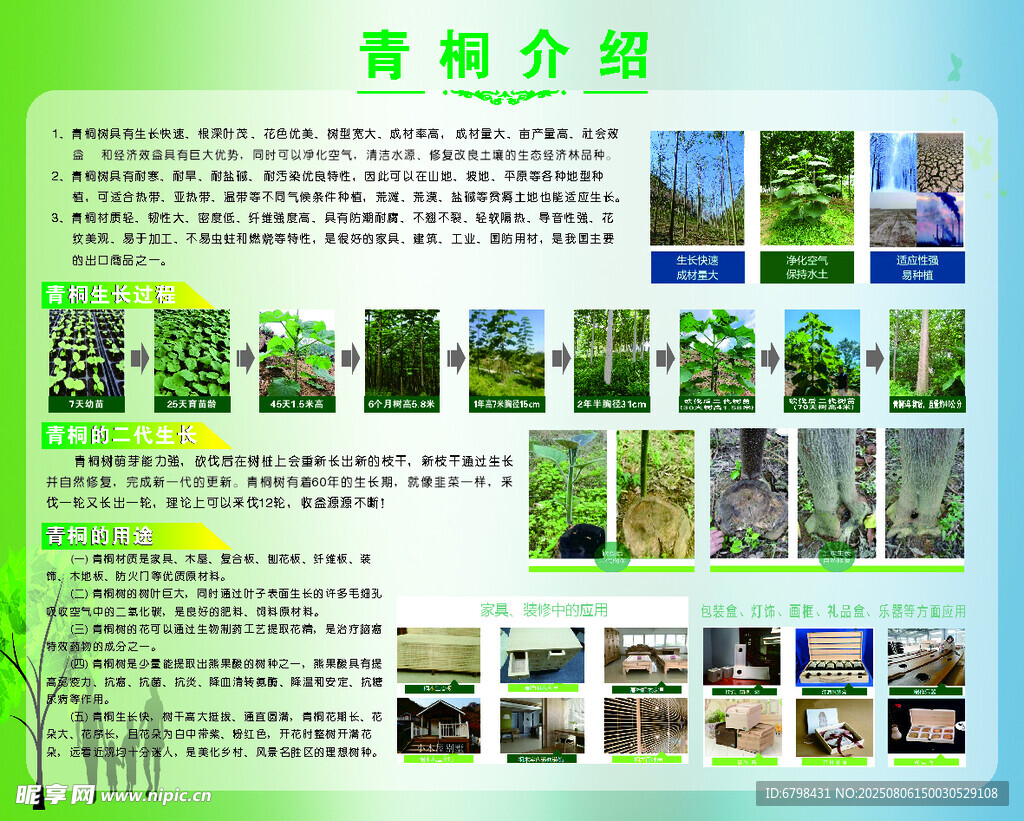 青桐植物展示版
