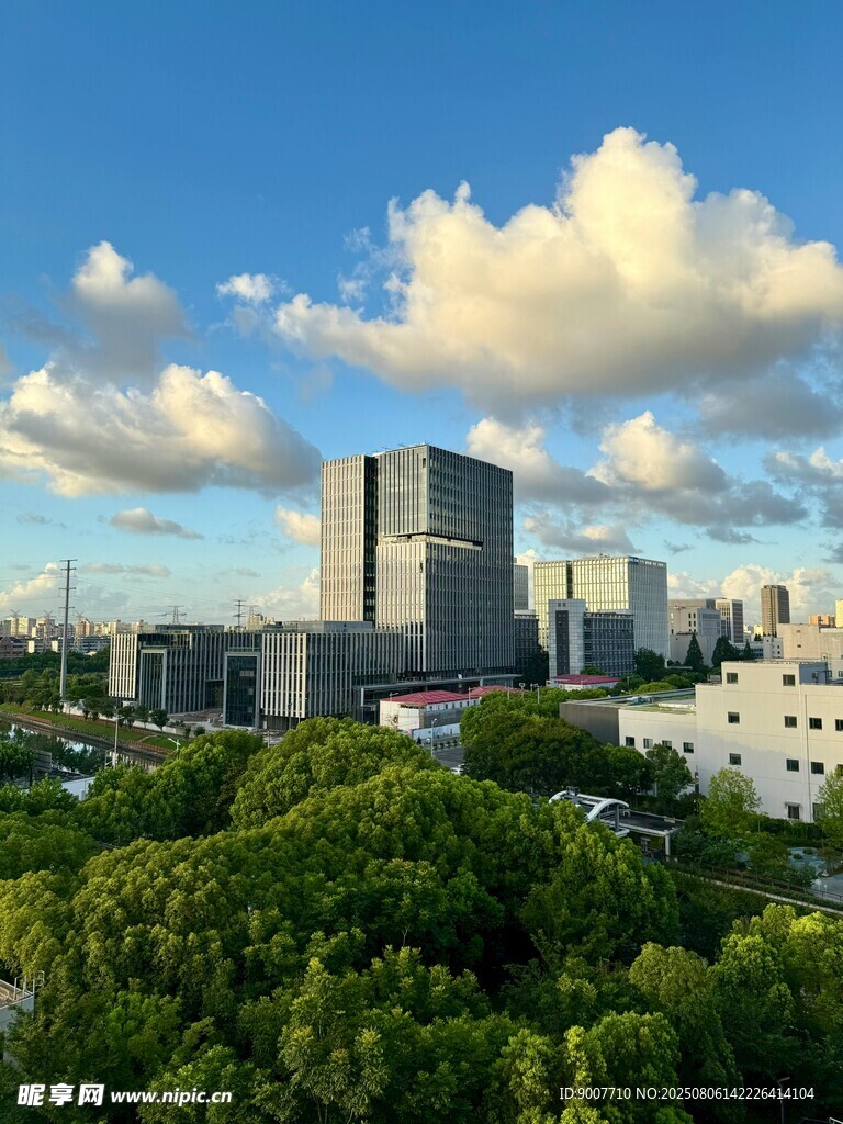 城市绿树间的高楼景观