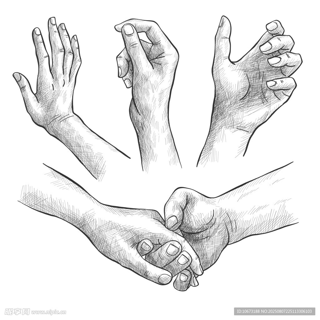 多样手势手部绘画参考图