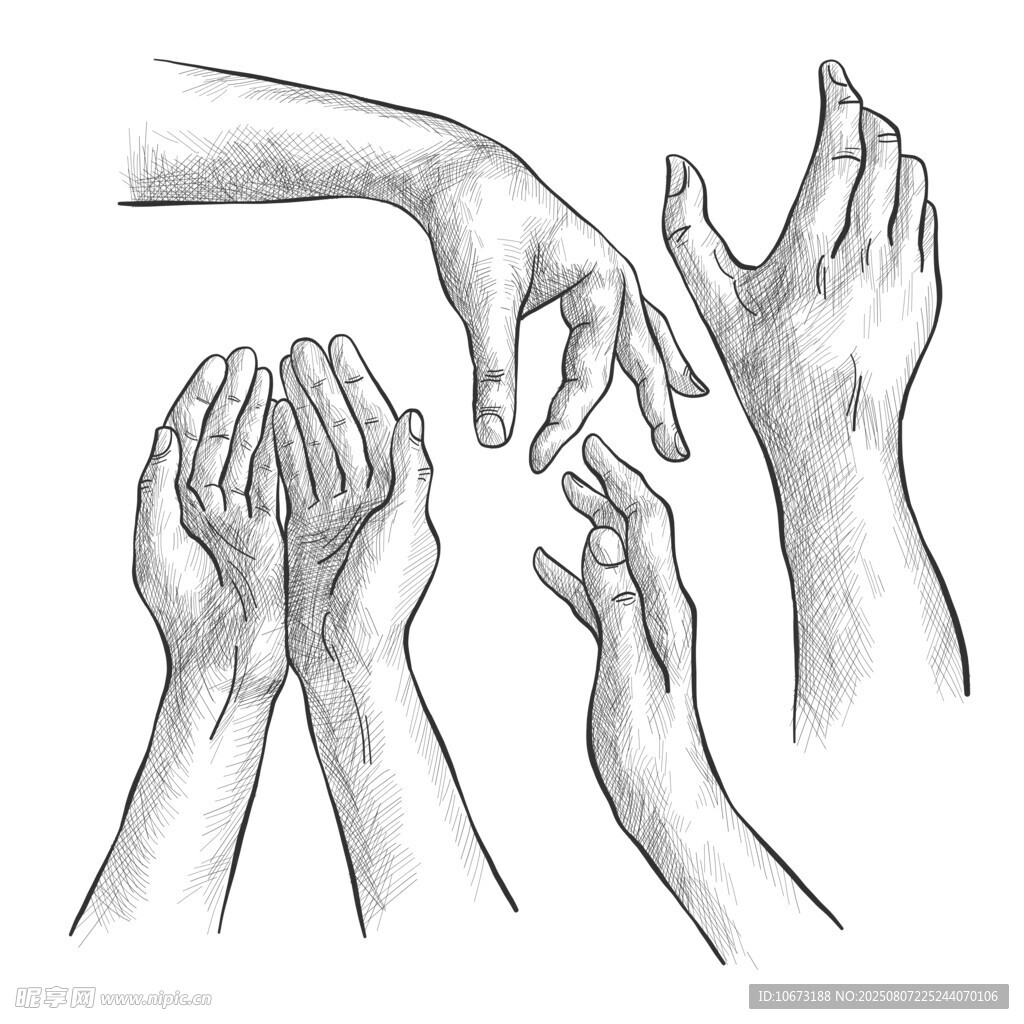 手部姿态素描图