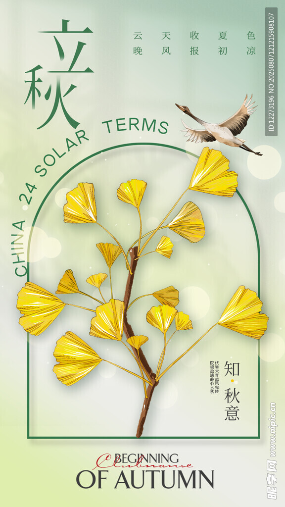 立秋时节银杏叶的美丽