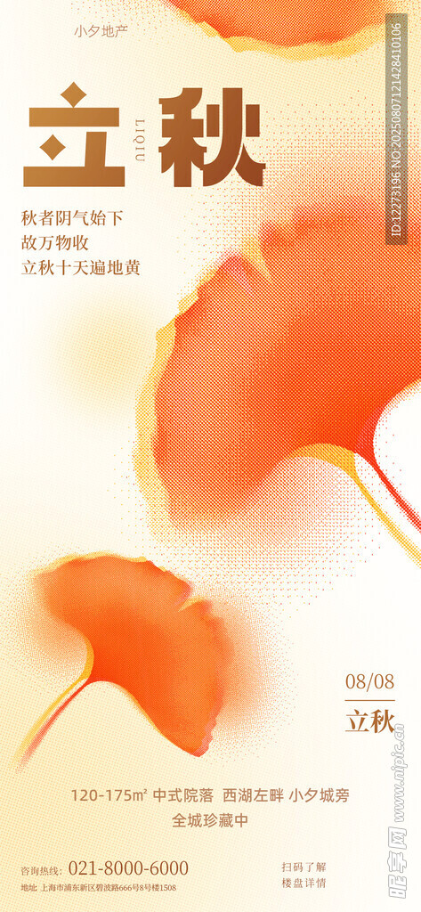 立秋时节的银杏叶美景