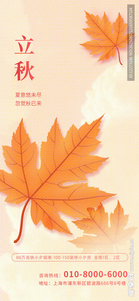 立秋时节枫叶飘零景象