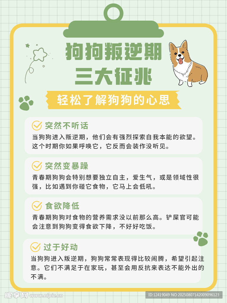 狗狗叛逆期攻略