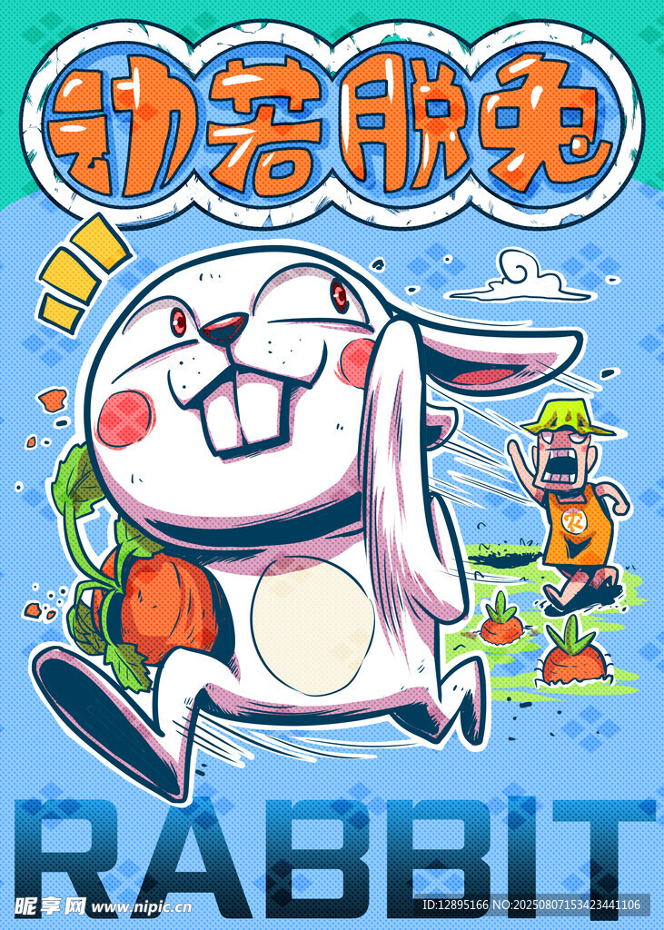 生肖兔