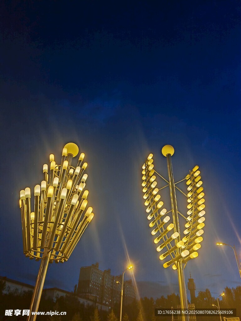 璀璨灯光造型夜景