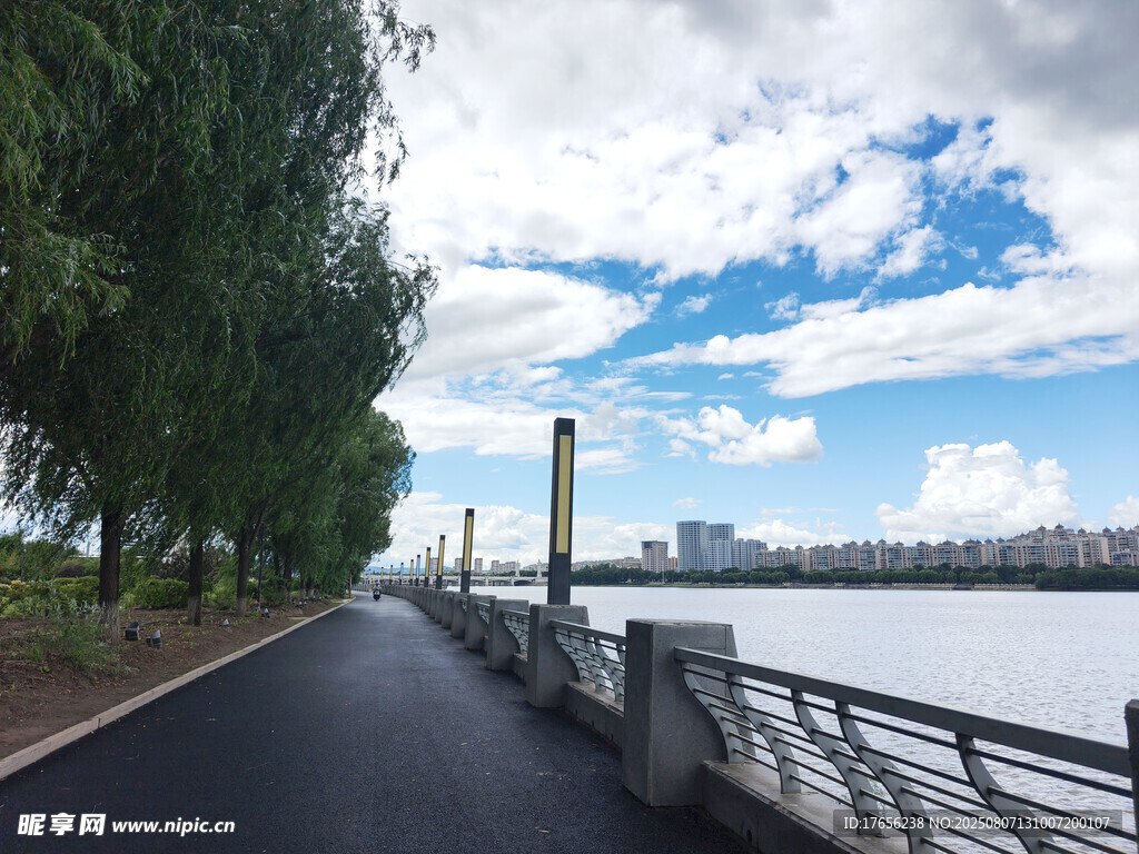 河畔林荫路