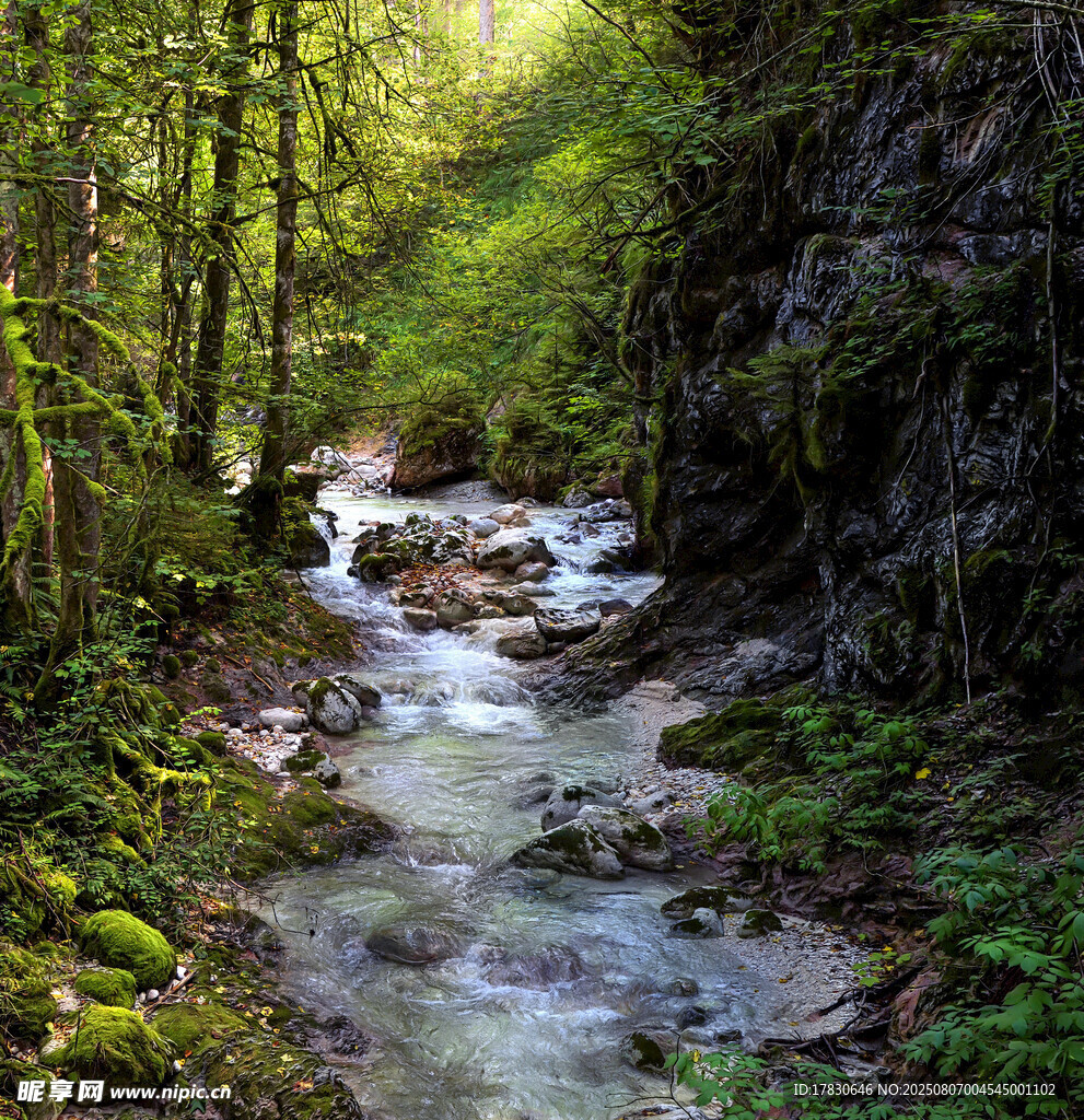 山林间潺潺溪流的自然美景