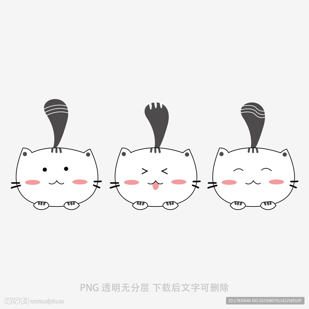 三只可爱猫咪萌趣表情