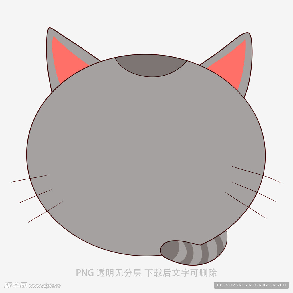 圆滚滚的猫咪背影