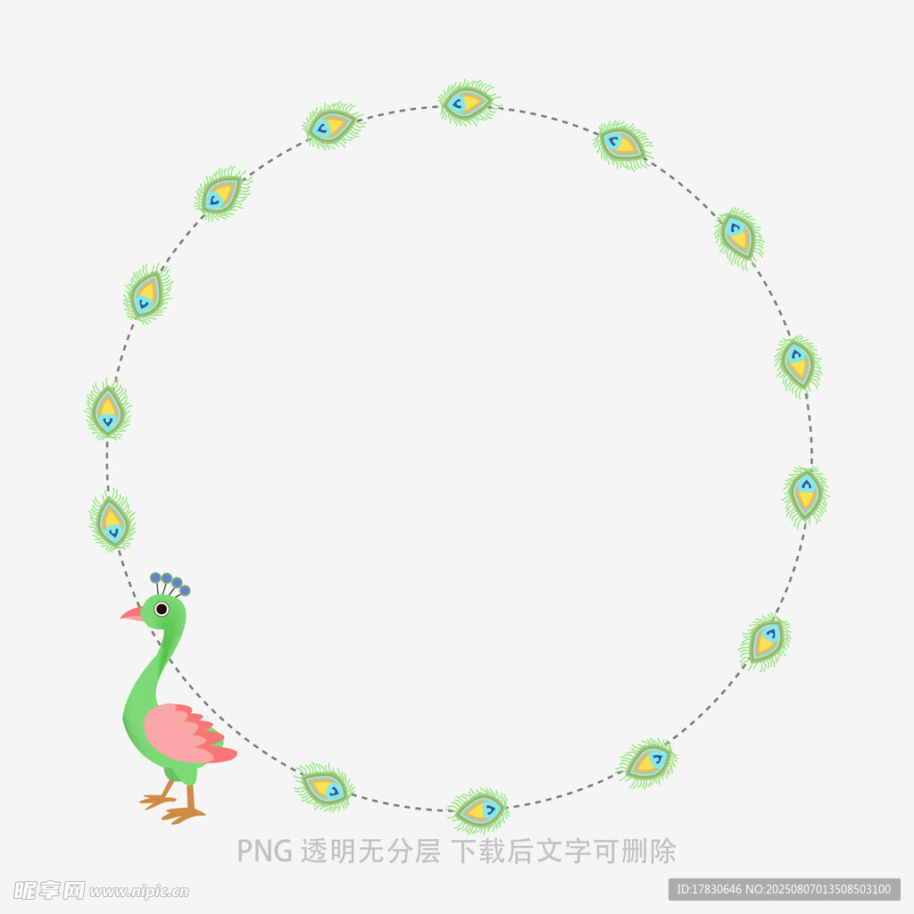 孔雀花环边框插画