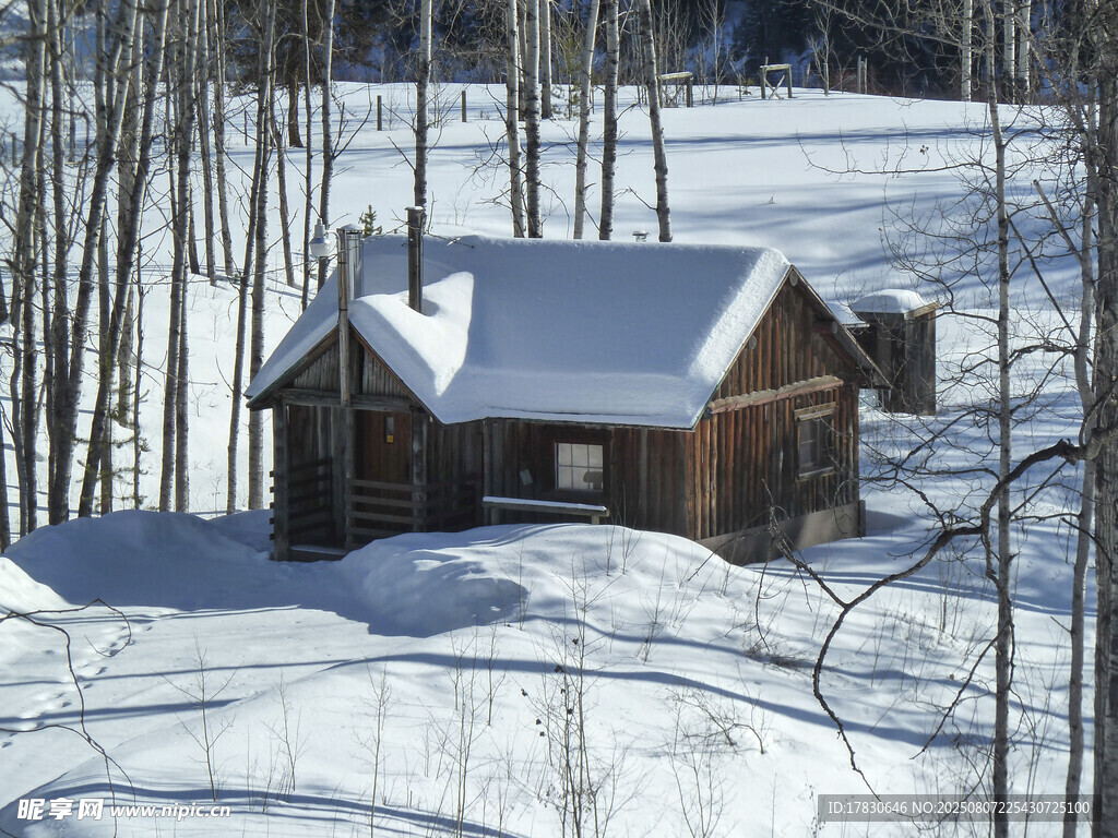 雪覆林间小屋