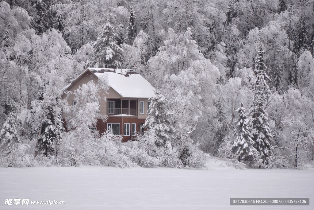 雪覆山林中的温馨小屋