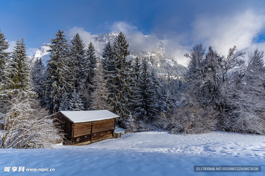 雪林中的静谧小屋