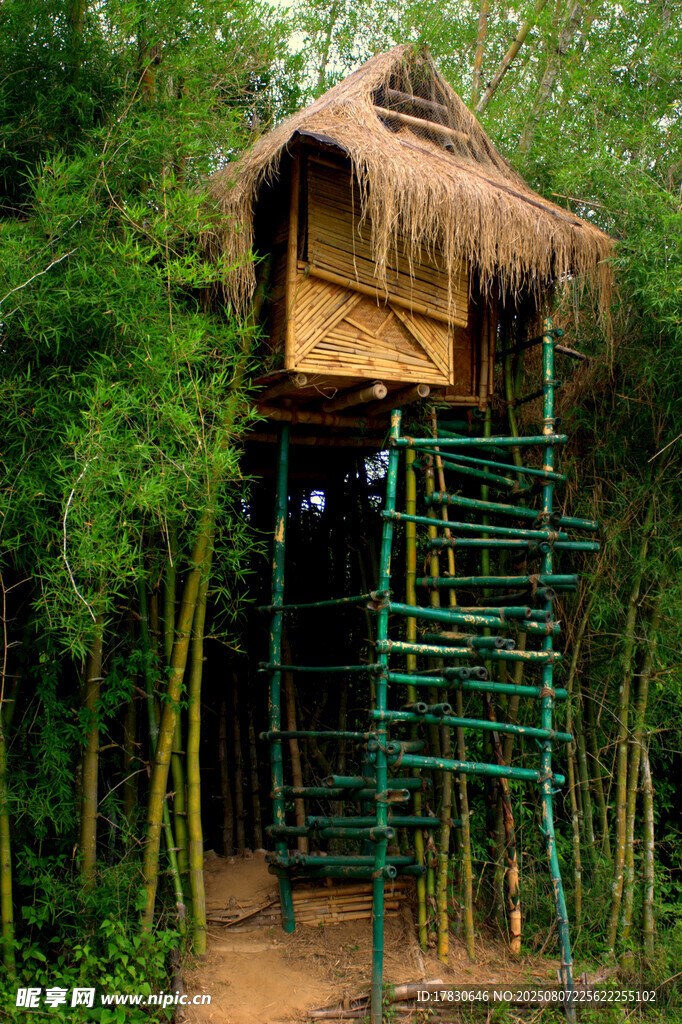 竹林中的茅草架小屋