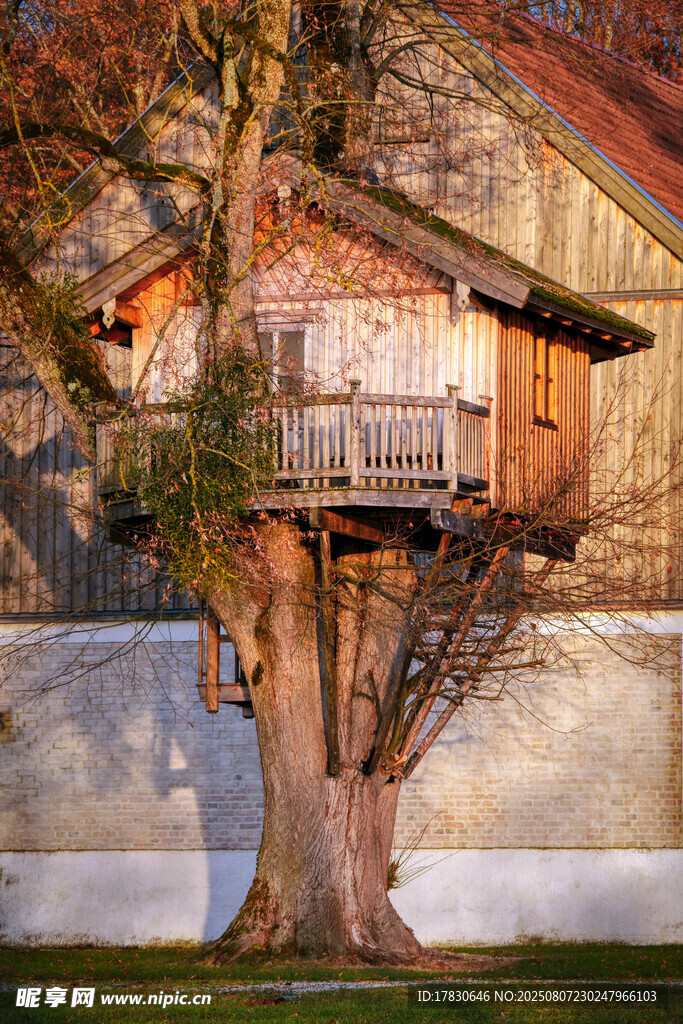木屋