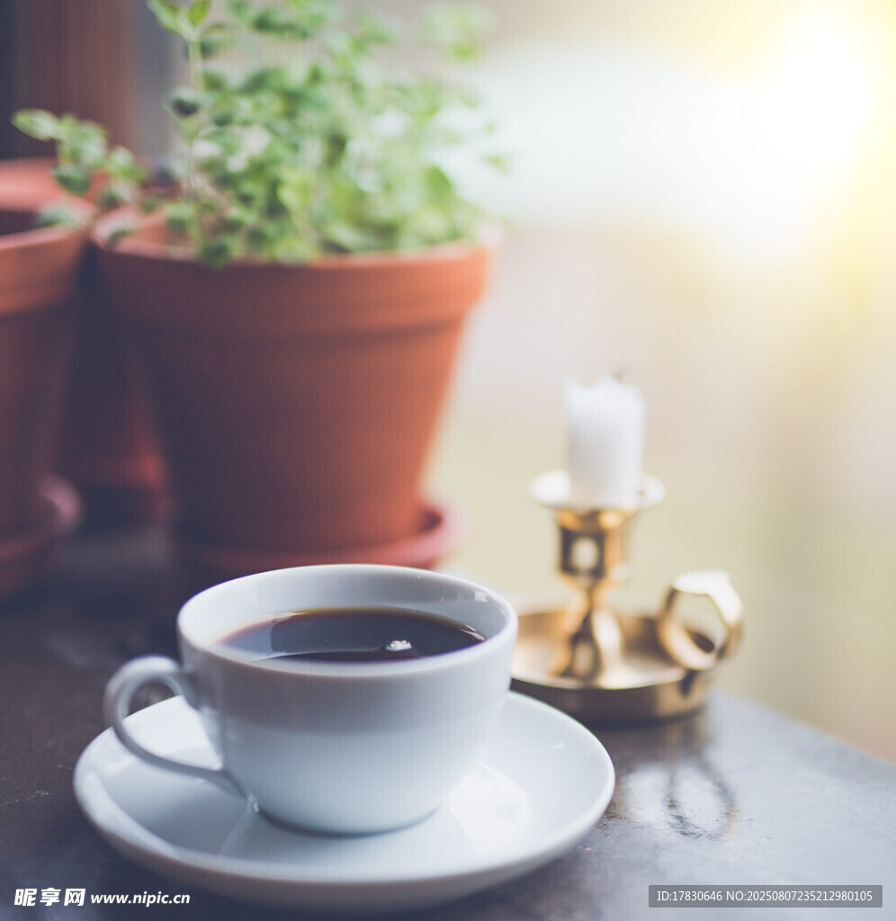 温馨咖啡时光与绿植相伴