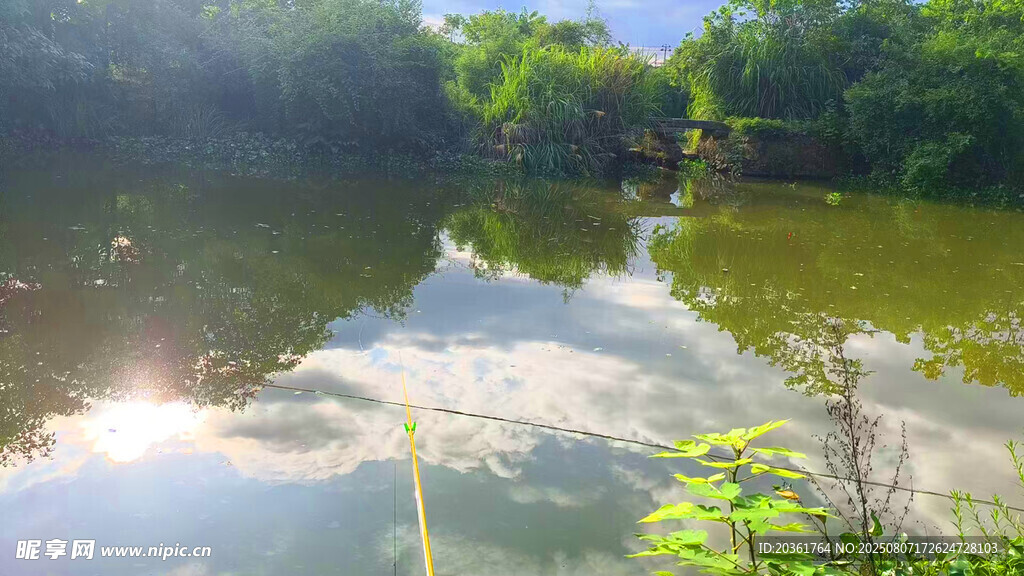 宁静湖畔自然风光