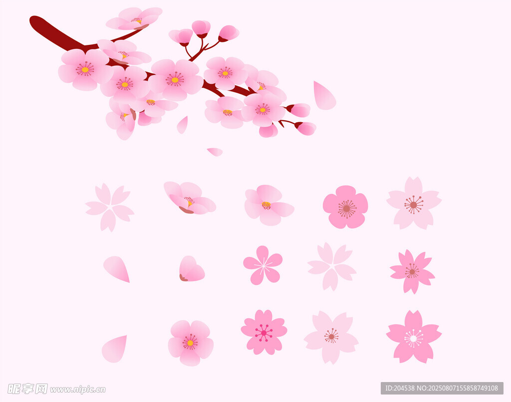 樱花素材